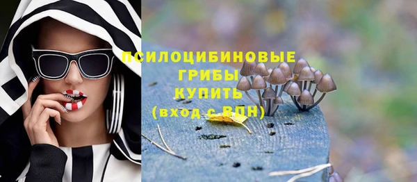 ALPHA-PVP Богородицк