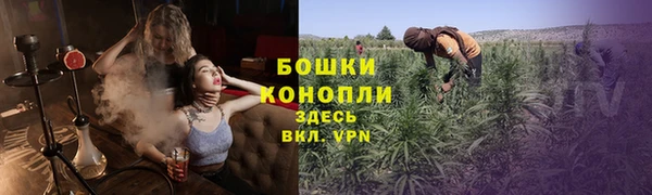 a pvp Белокуриха