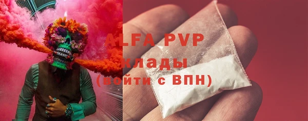 шишки Белоозёрский