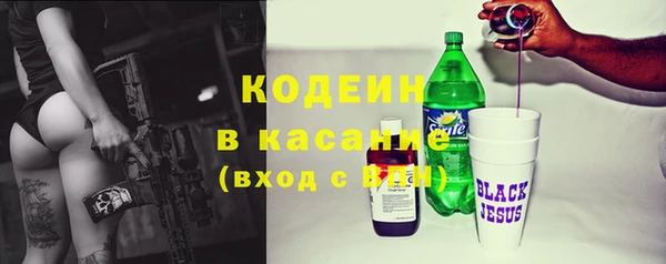 шишки Белоозёрский
