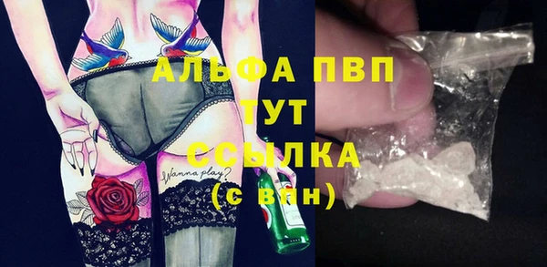 шишки Белоозёрский